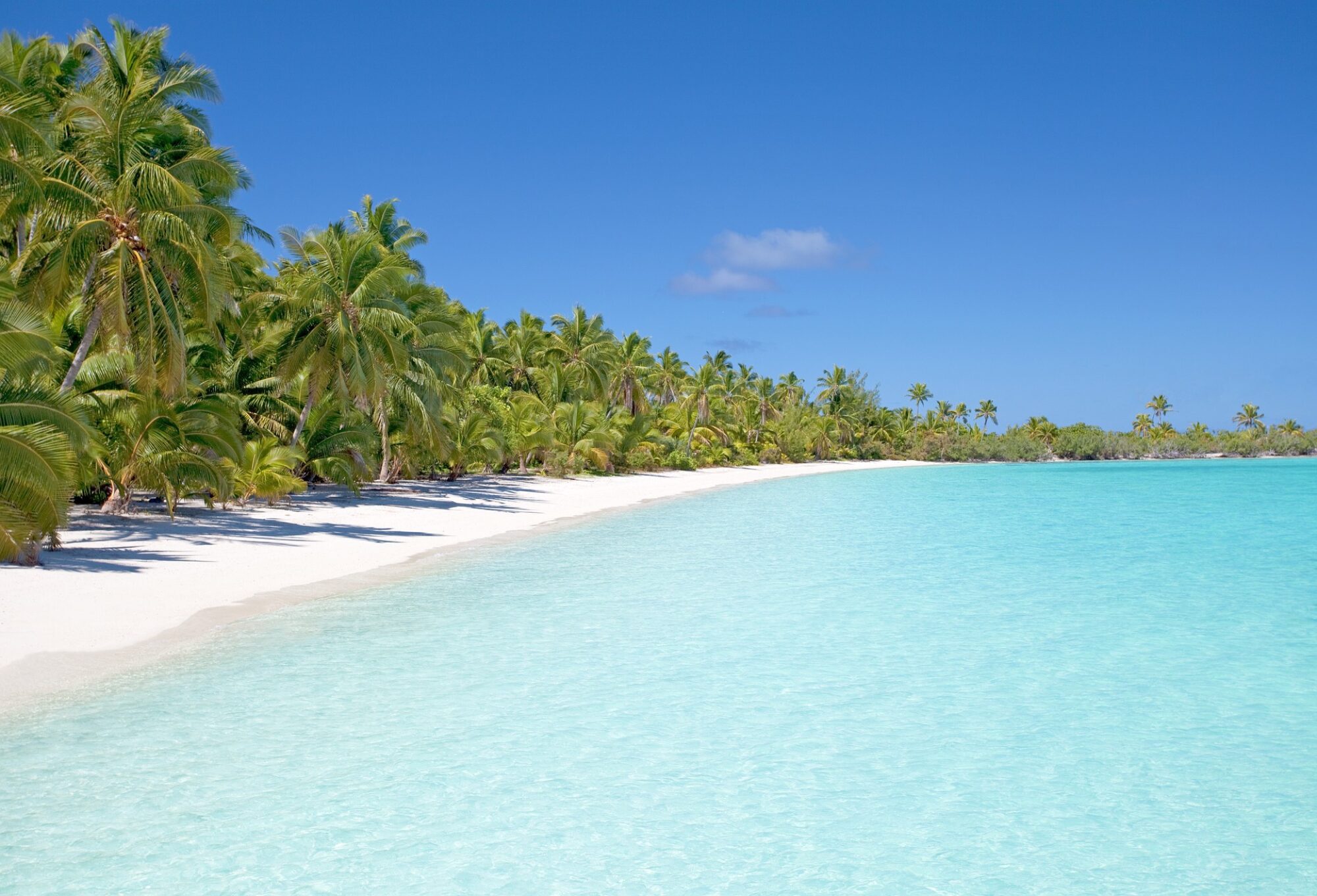 Beach Paradies
